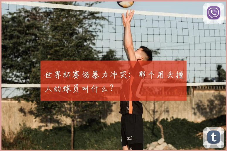 世界杯赛场暴力冲突：那个用头撞人的球员叫什么？