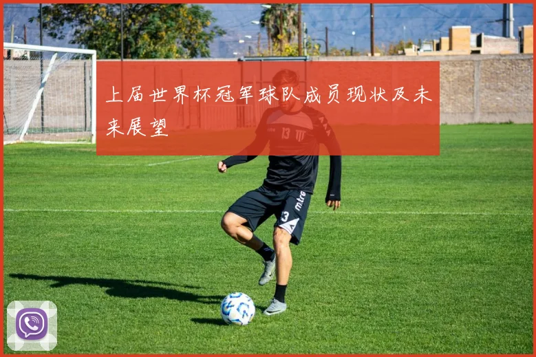 上届世界杯冠军球队成员现状及未来展望