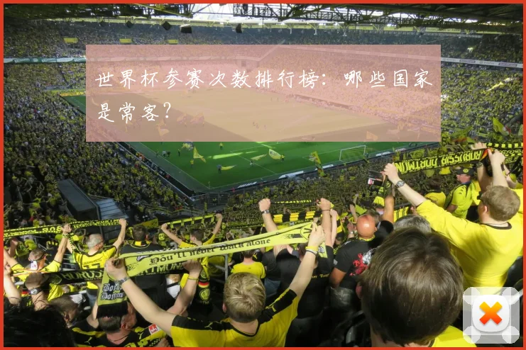 世界杯参赛次数排行榜：哪些国家是常客？