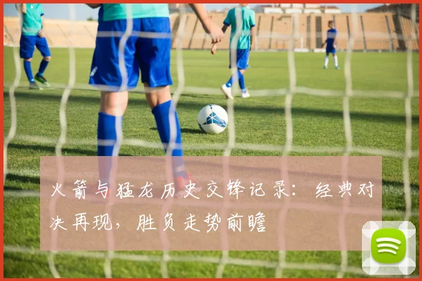 火箭与猛龙历史交锋记录：经典对决再现，胜负走势前瞻