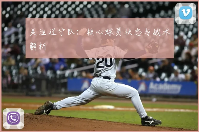 关注辽宁队：核心球员状态与战术解析