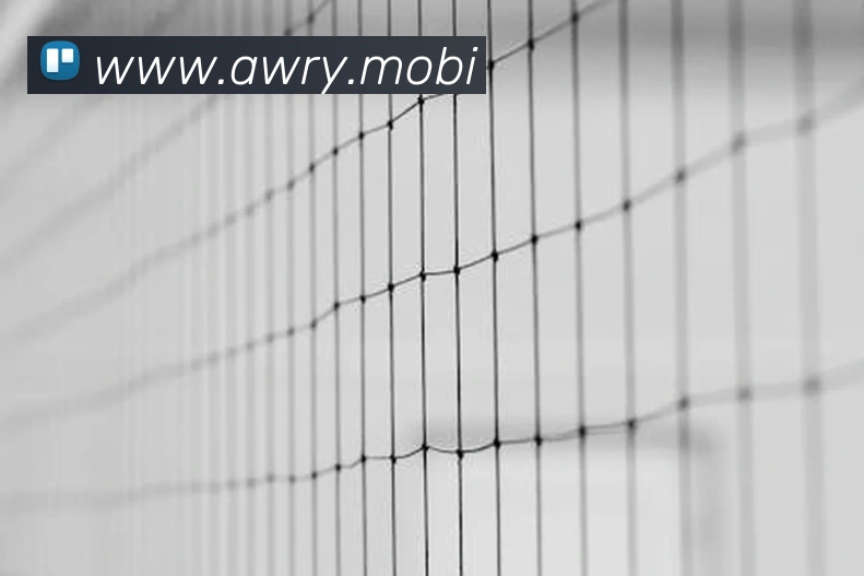 多媒体互动体验